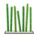 动物之森竹子家具全图鉴