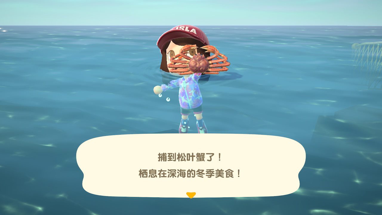 动物之森潜水攻略，潜水装备&NPC阿獭先生解析（附人鱼家具DIY）