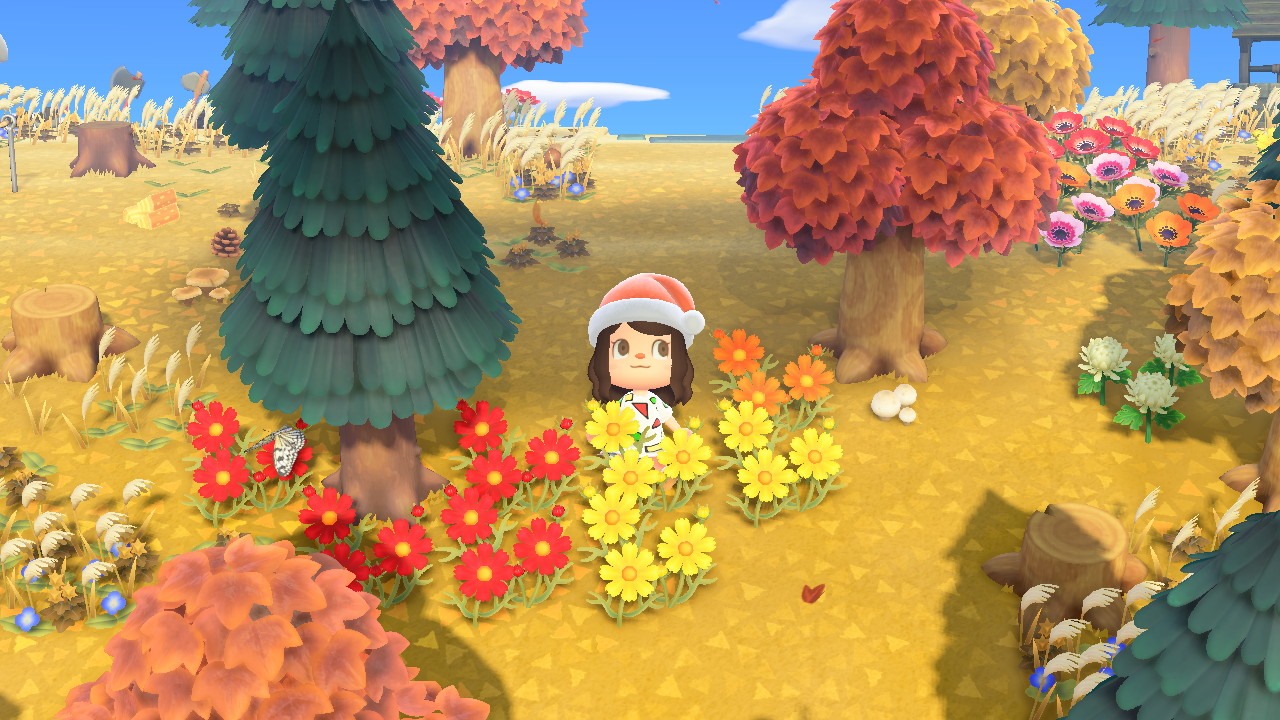 动森日记，参观任天堂官方小岛-Ninten岛(门牌：DA-6282-1459-4417)