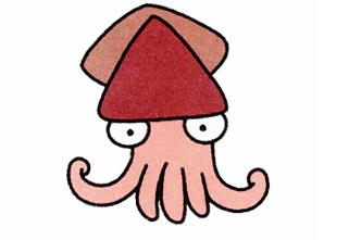 动物之森海洋生物图鉴（全）