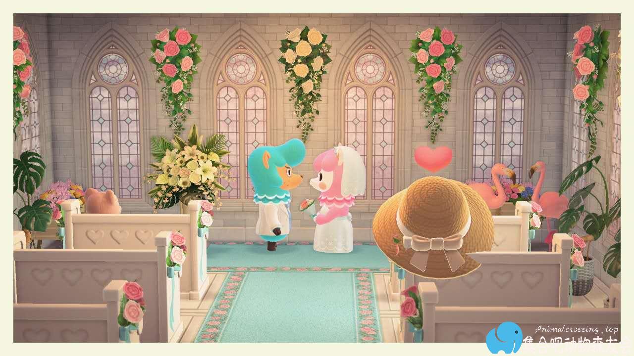 动森6月新娘攻略，甜蜜羊驼夫妻又来了！